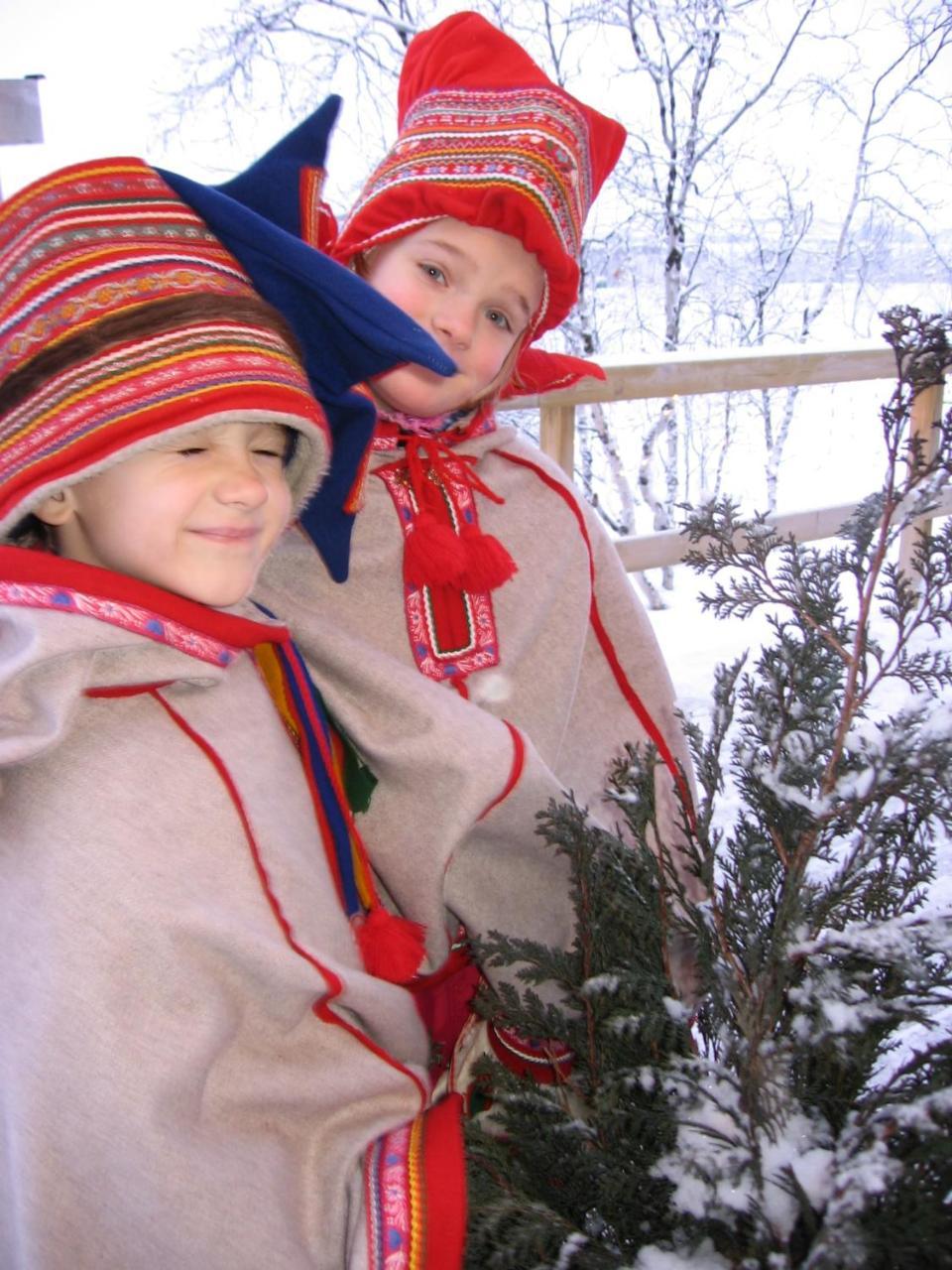 Guesthouse Haltinmaa Kilpisjärvi Dış mekan fotoğraf